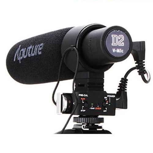 AP-V-Mic-D2-1